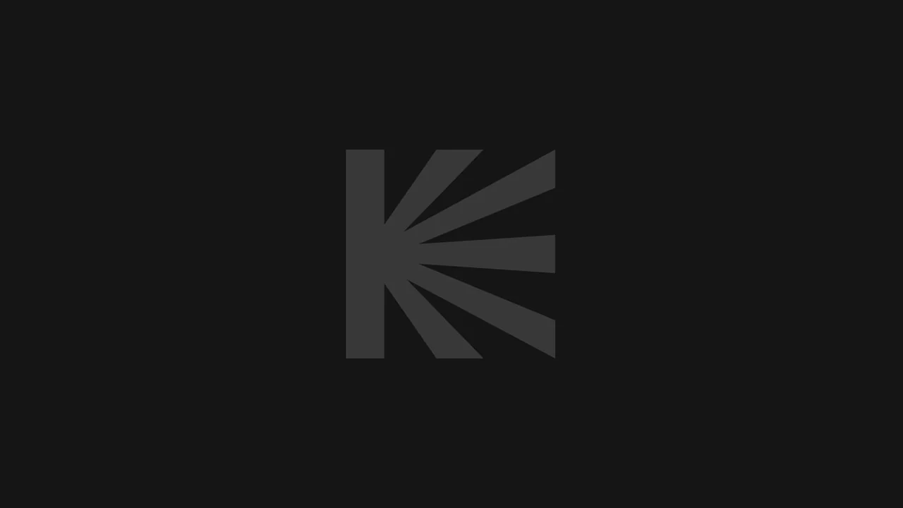 Фильм Время жить (2024)