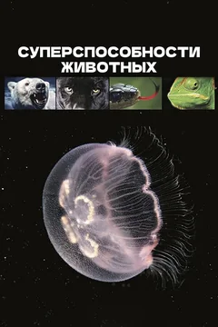 ТВ-шоу Суперспособности животных (1 сезон)